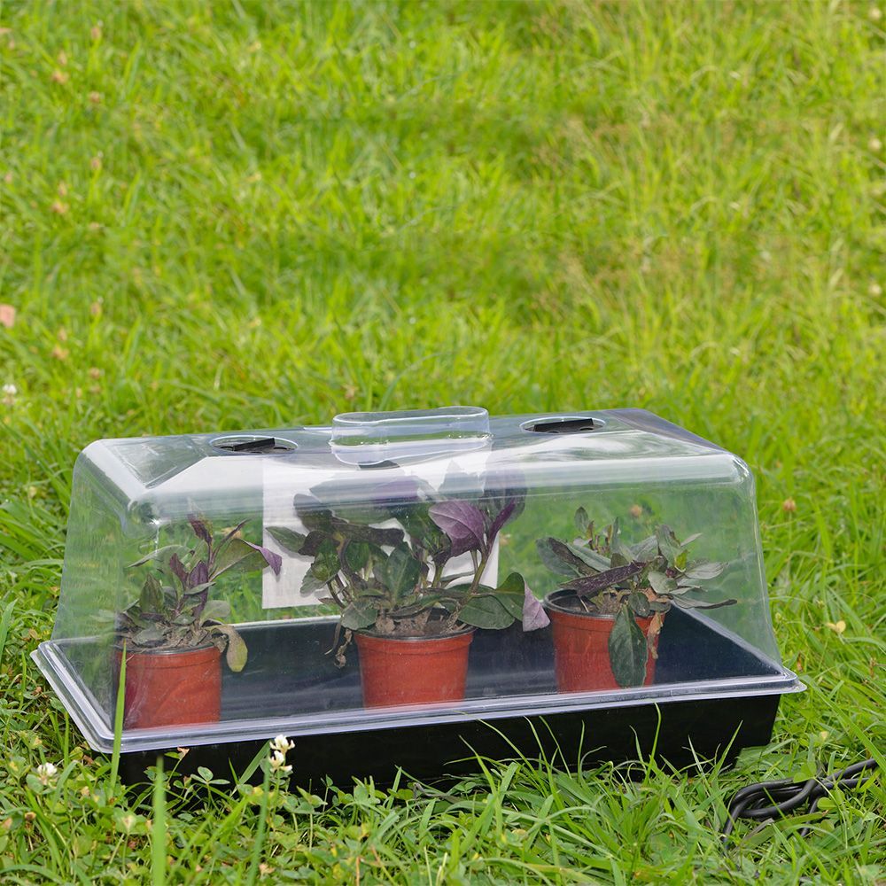 Seedling tray