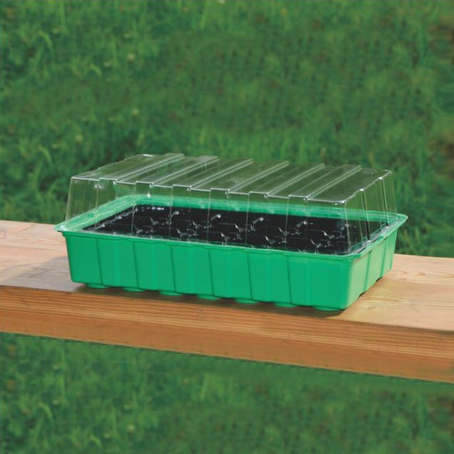 Seedling tray