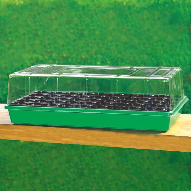 Seedling tray