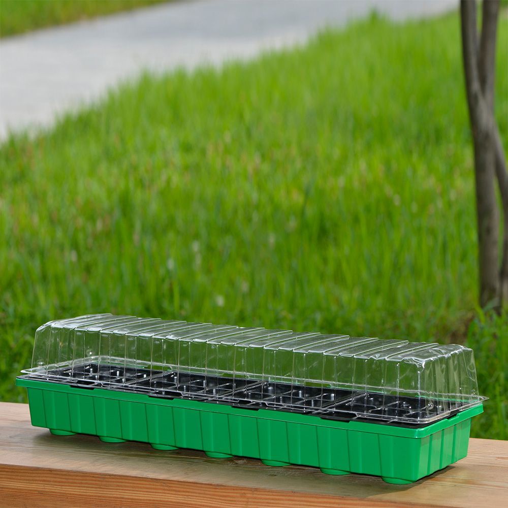 Seedling tray