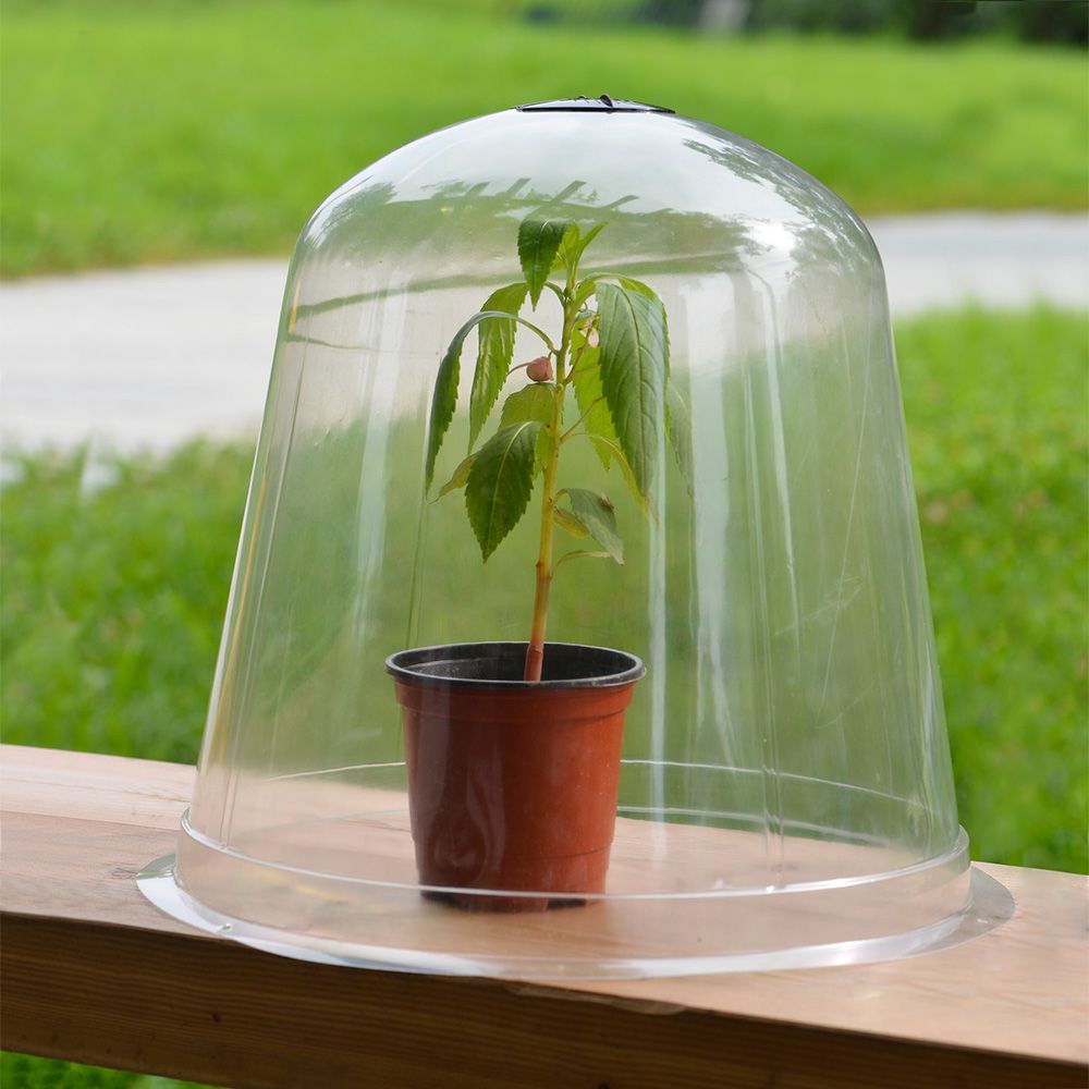 Seedling tray