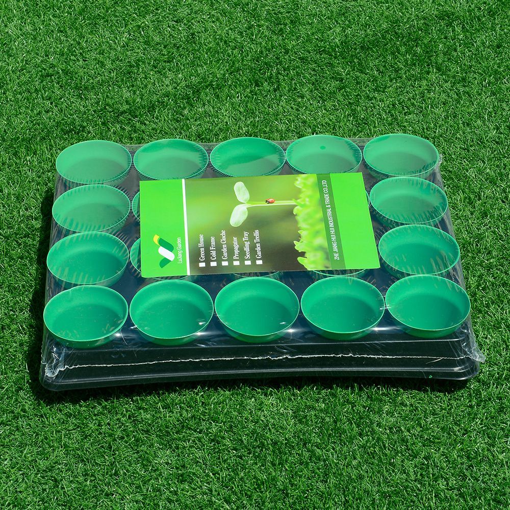 Seedling tray